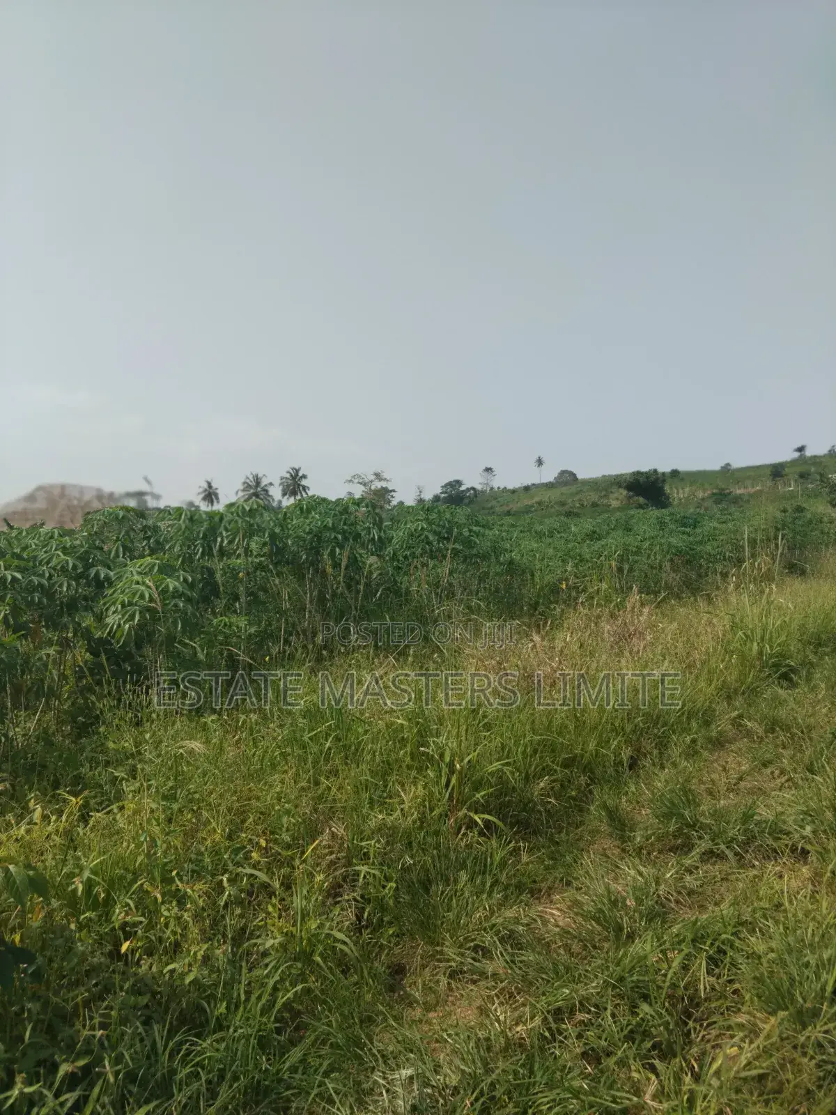 Unbelievable Opportunity Affordable Lands for Sale
