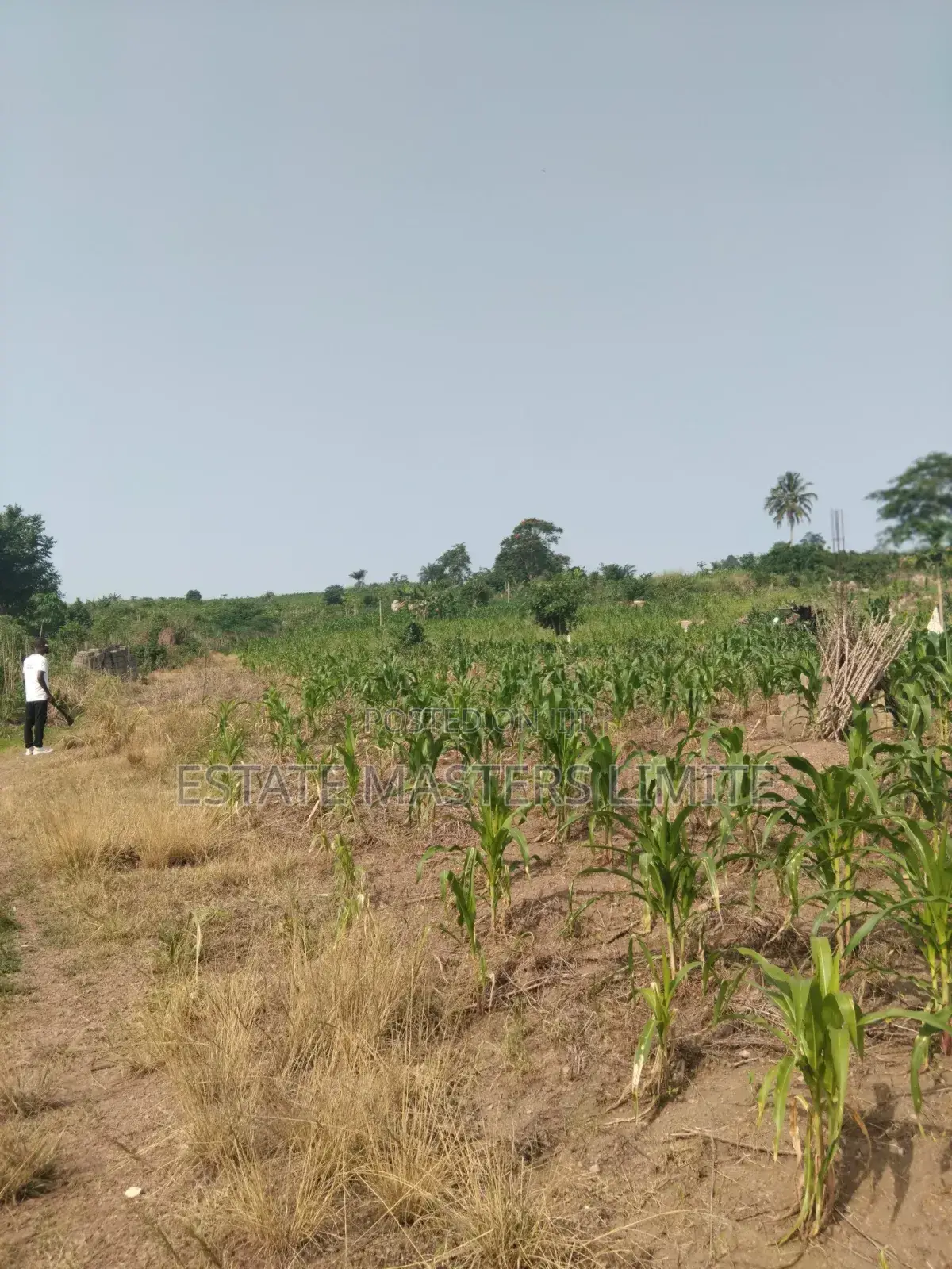 Build Your Future Residential Lands for Sale at Dominase 10%