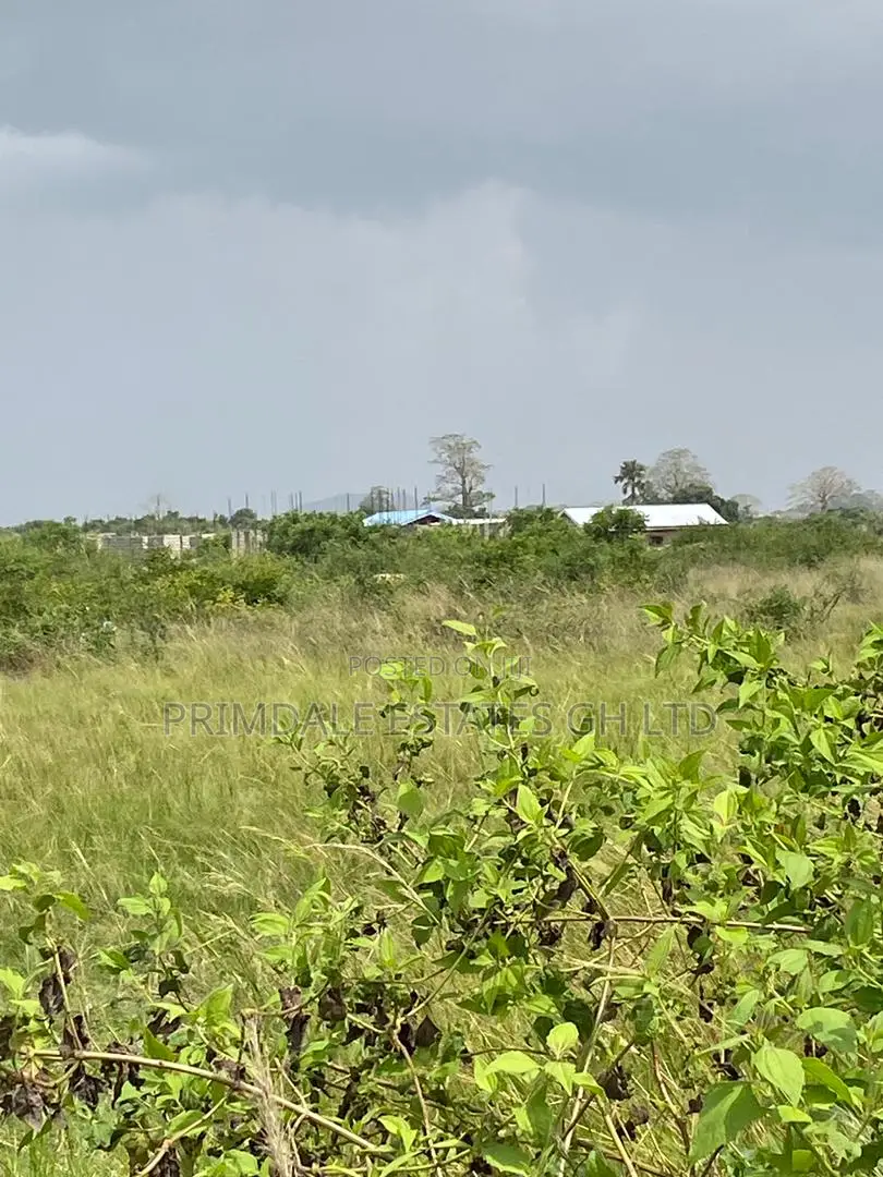 Afienya Residential Estate Half Plots