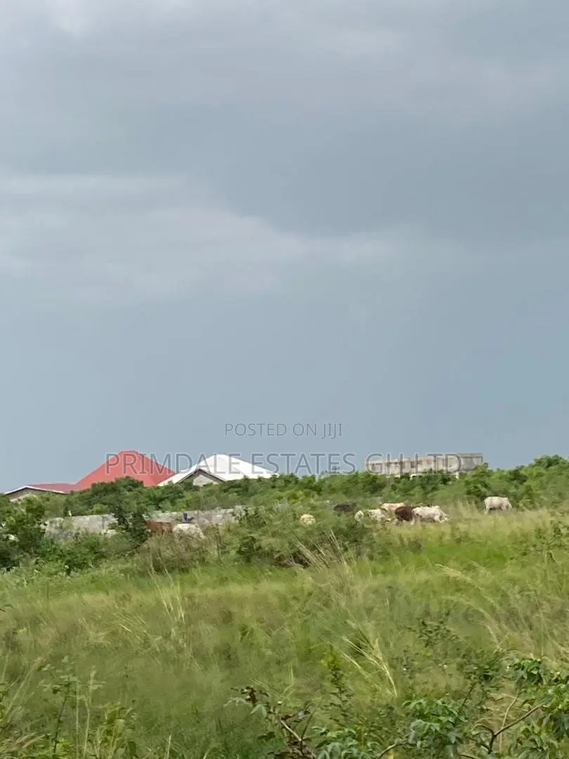 Afienya (Free Documentation) Estate Land for Sale