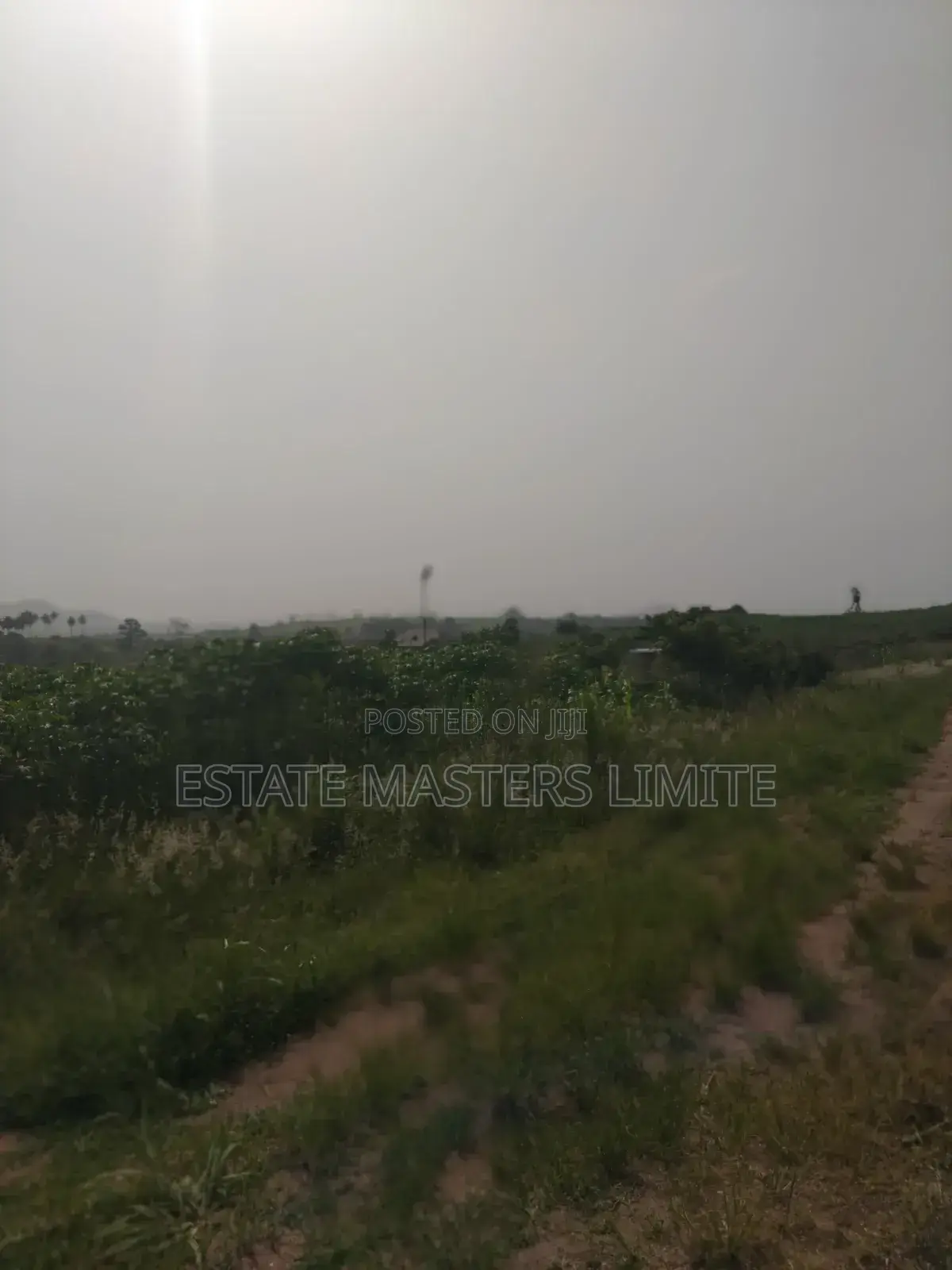 Limited Time Offer Land for Sale at Unbeatable Prices