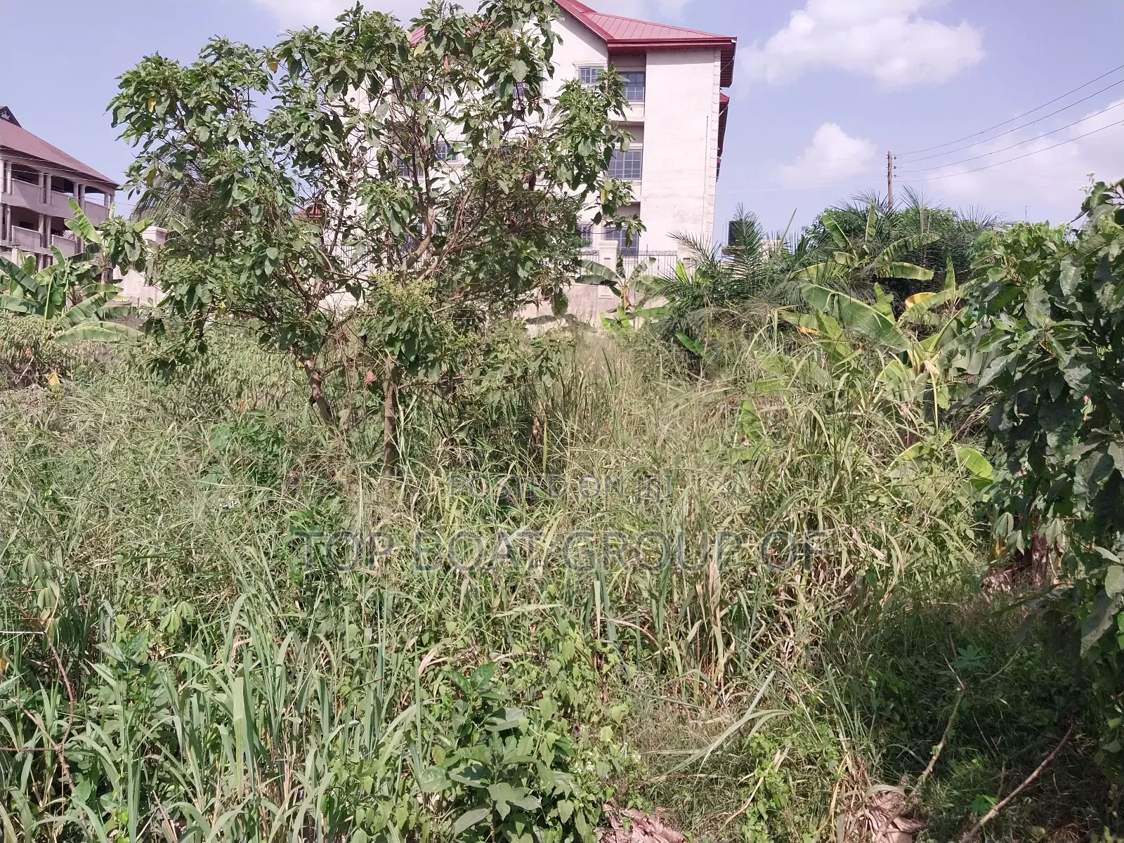 Kumasi Tafo Asenua Land for Sale