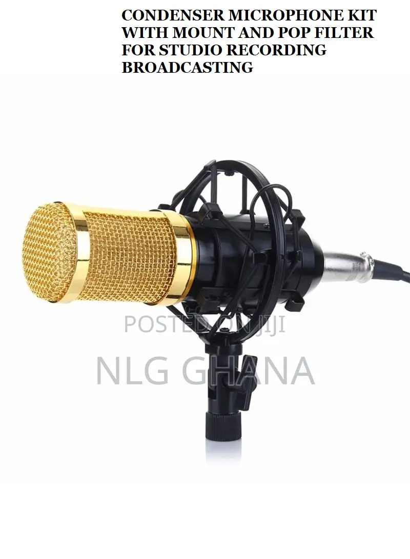 Condenser Microphone KIT With Mount And Pop Filter For Studi