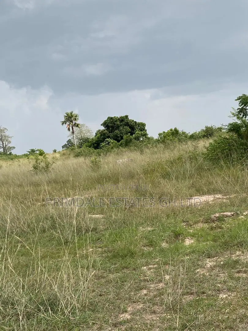 Well Serviced Plots for Sale at Afienya
