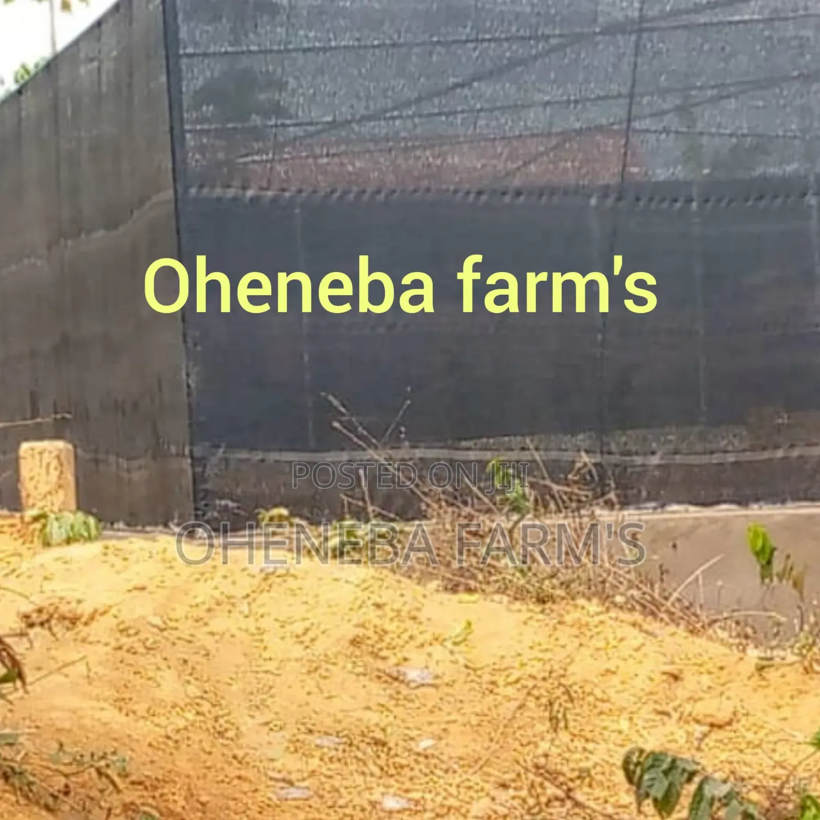 Greenhouse for Snails