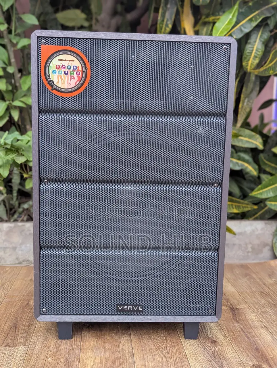 Verve 15" Professional Rechargeable Audio System With Microphone