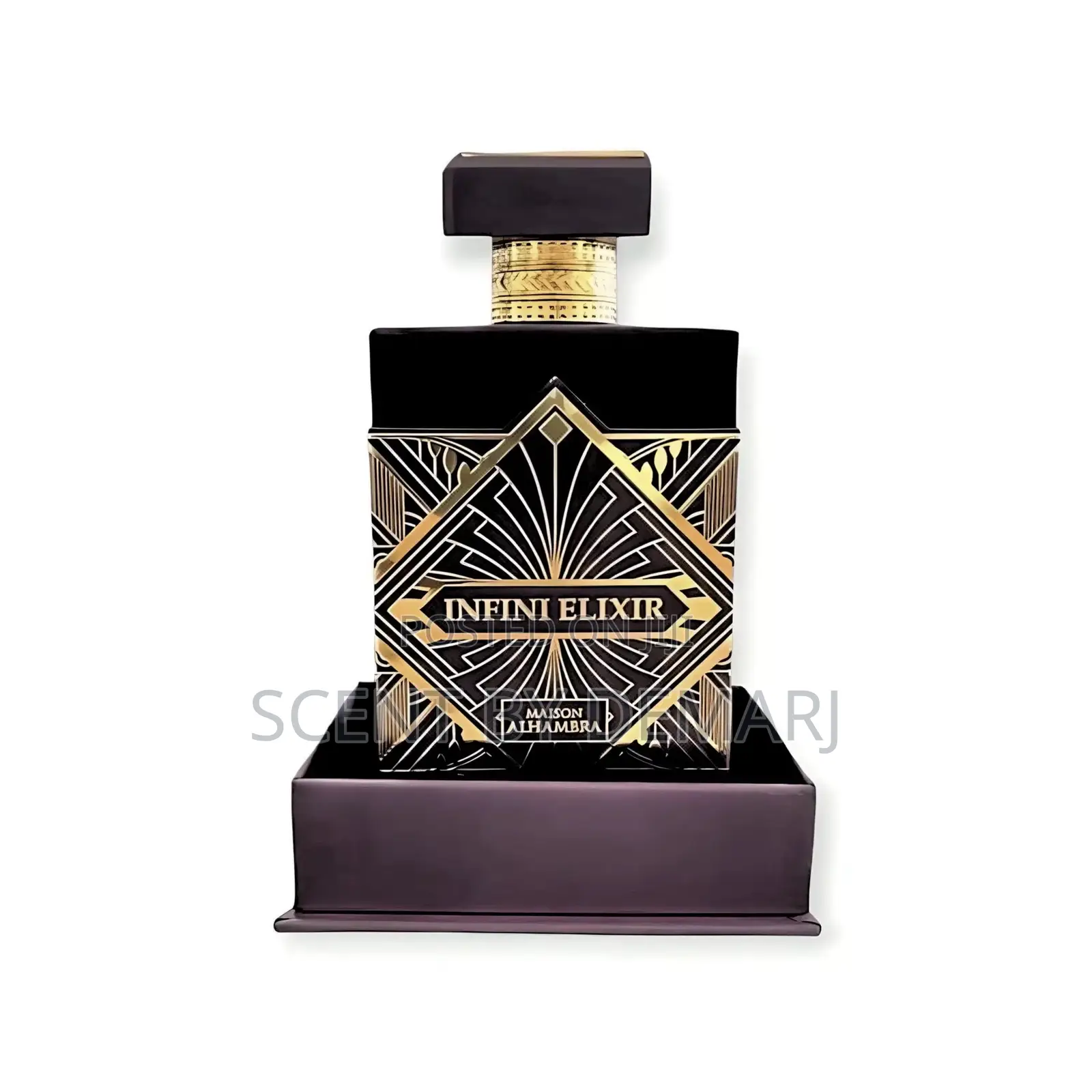 Infini Oud Elixir