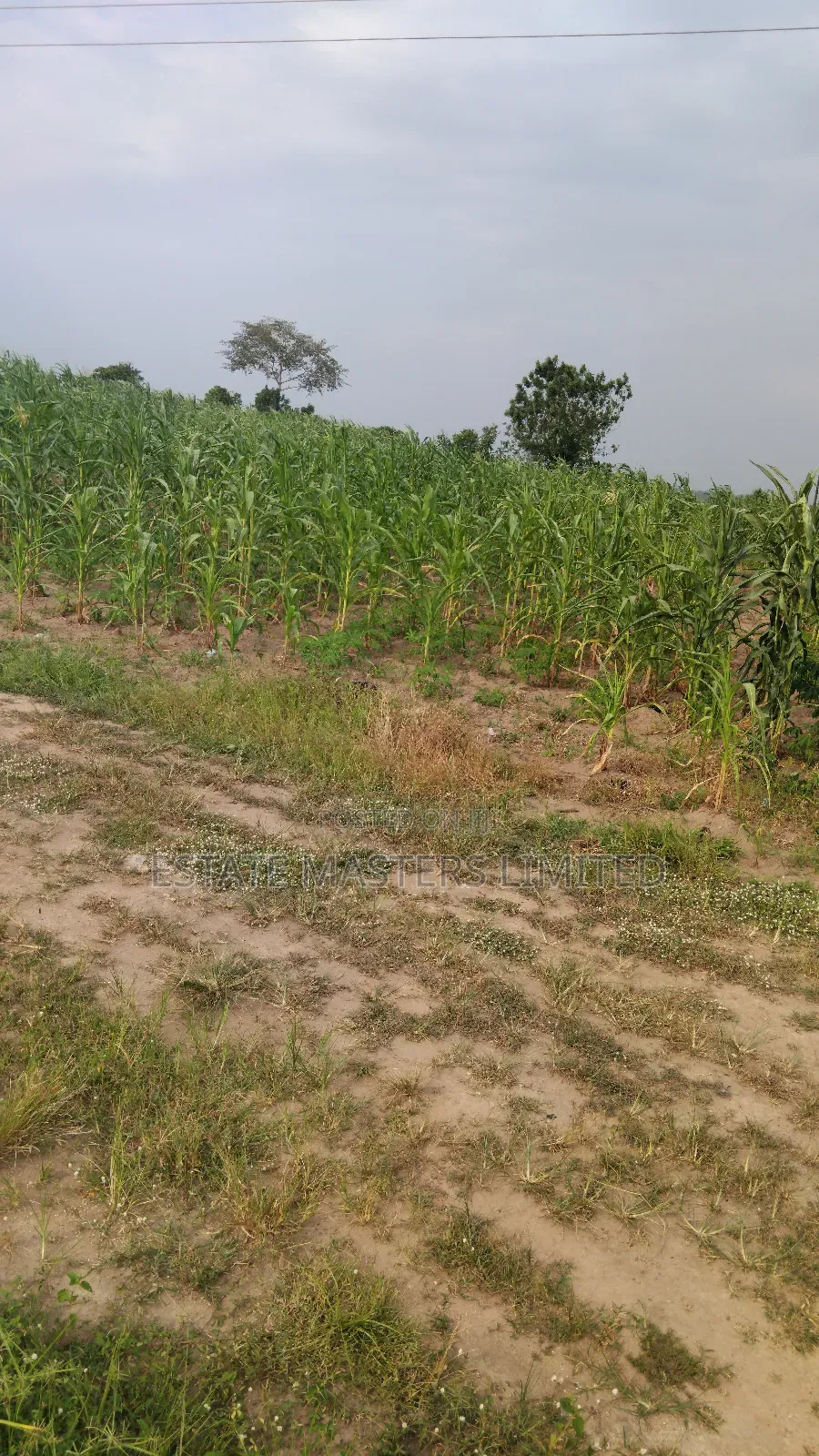 Project Land for Your Future Plans