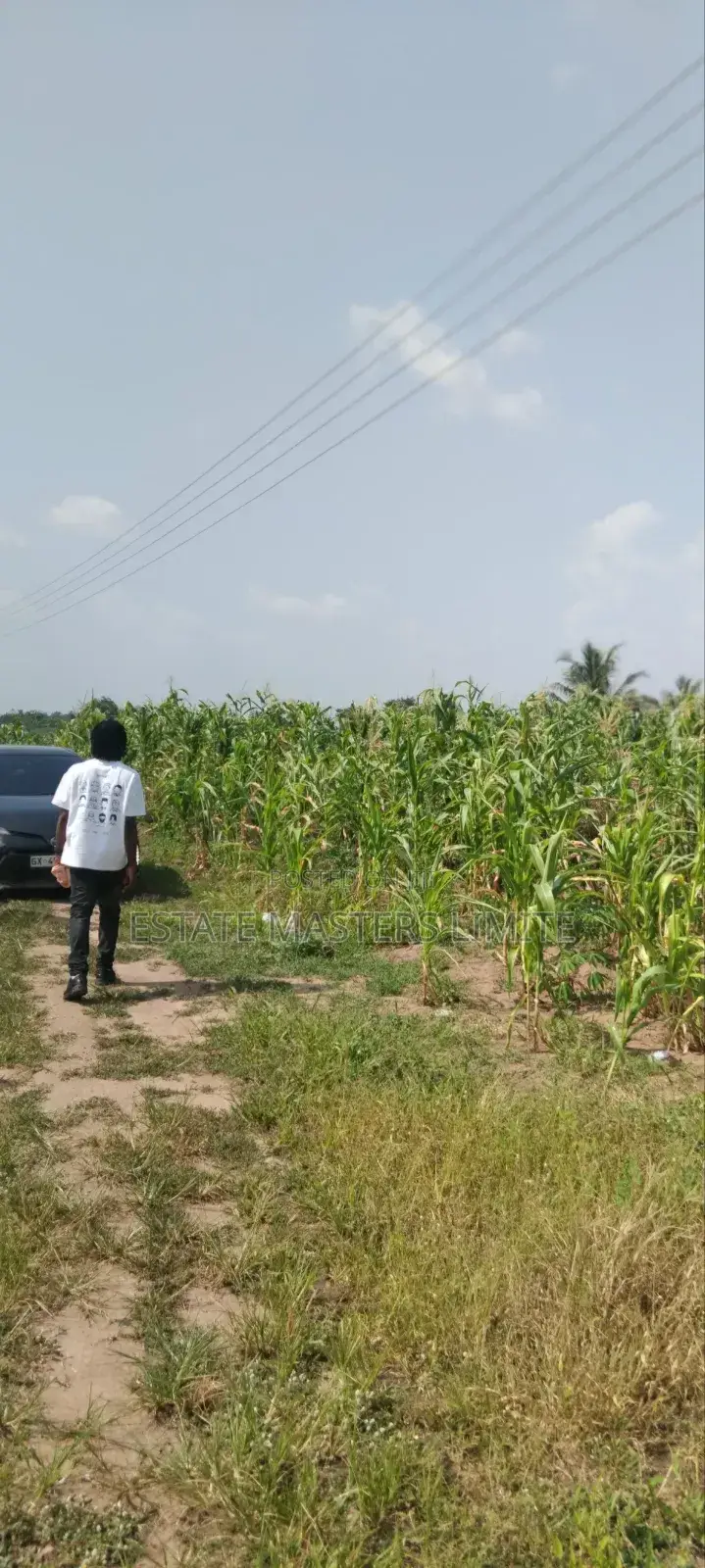 50x70 Plots of Land for Sale