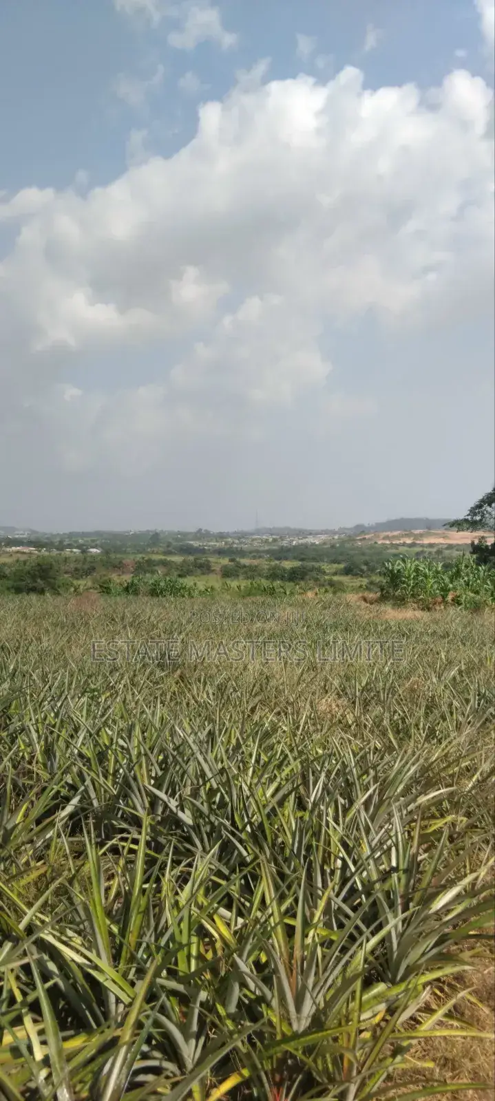 Acres of Lands Available for Sale