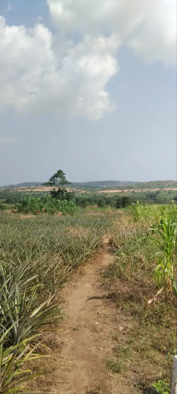 Very Beautiful Lands Avaliable for Sale