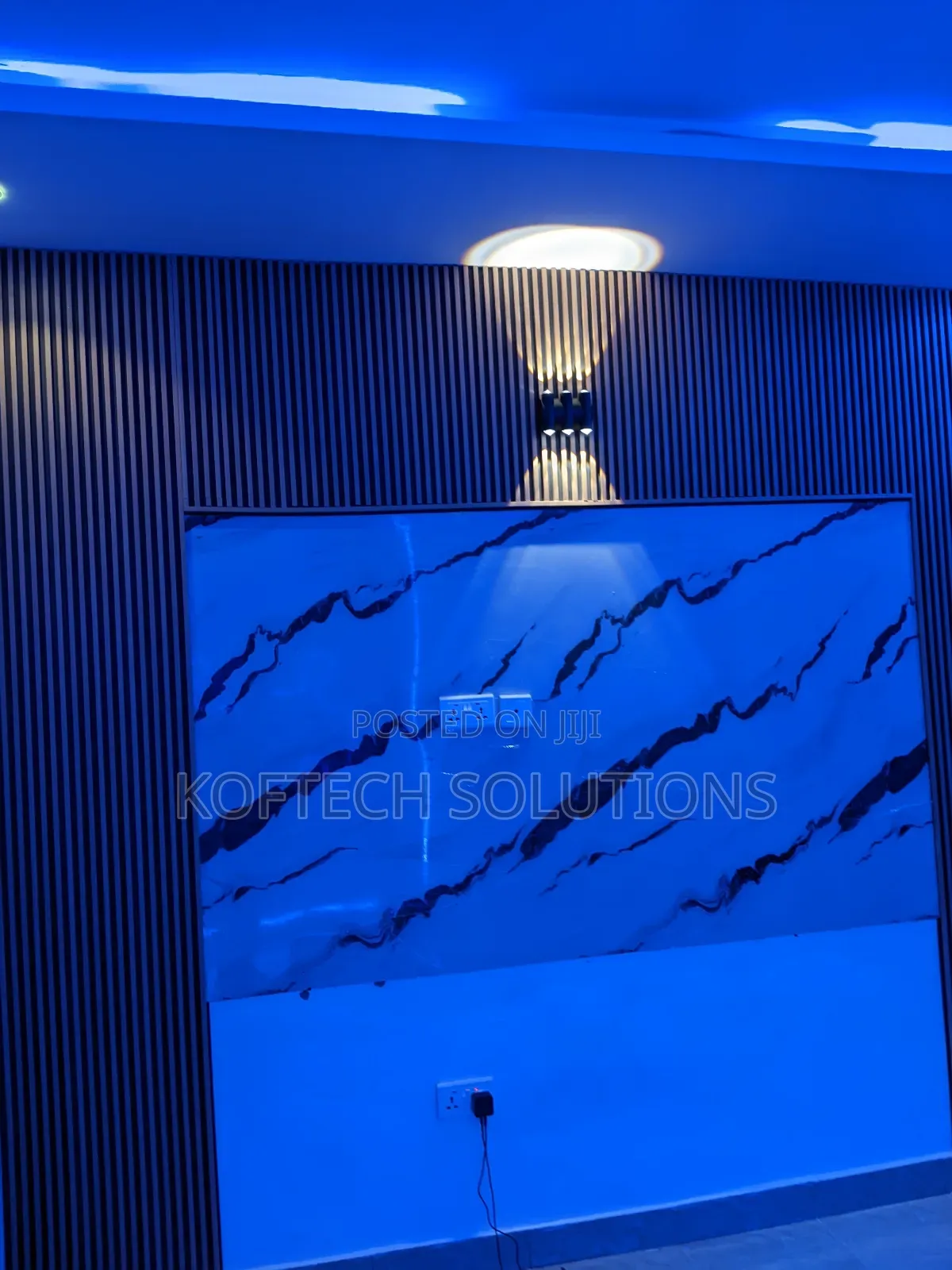 Professional Electrician Services