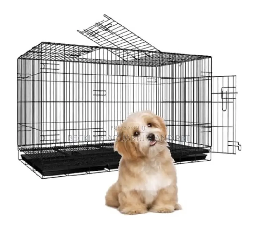 Cages for Small Dogs (21 Inches)