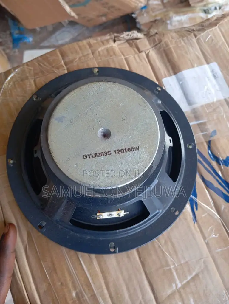 8 Inches Naked Speaker 100w