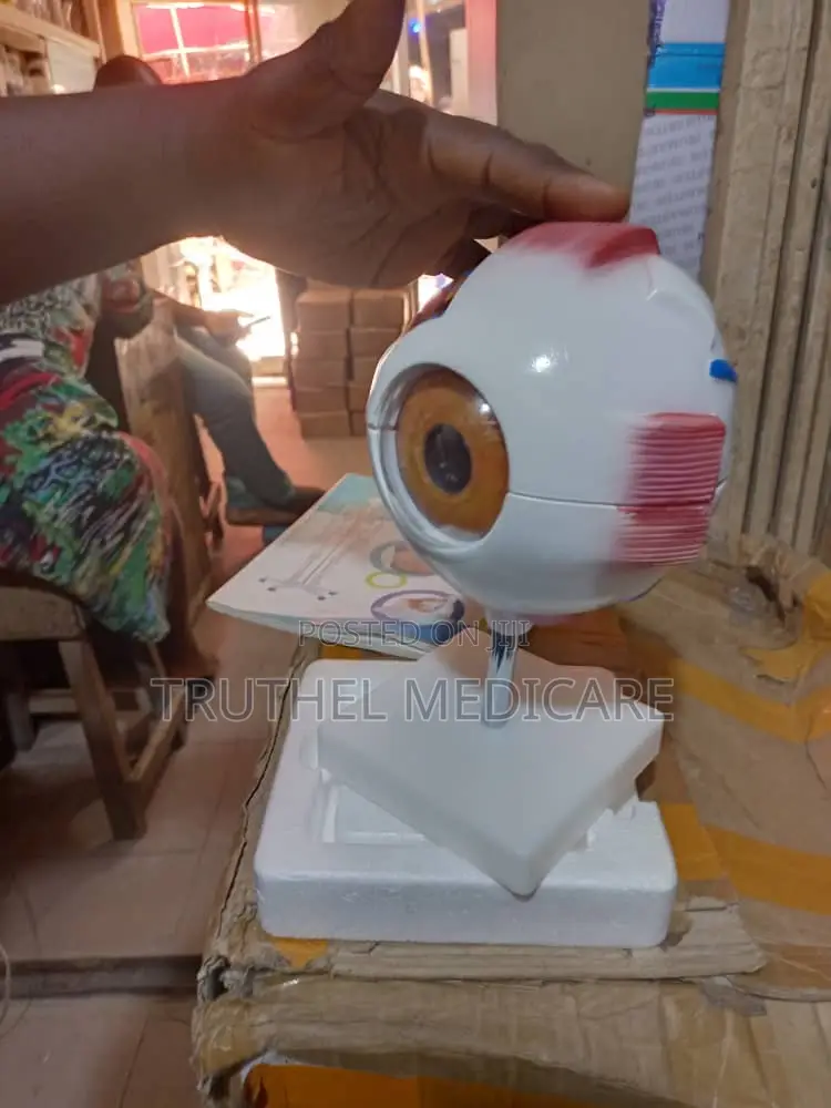 Giant Eye Model