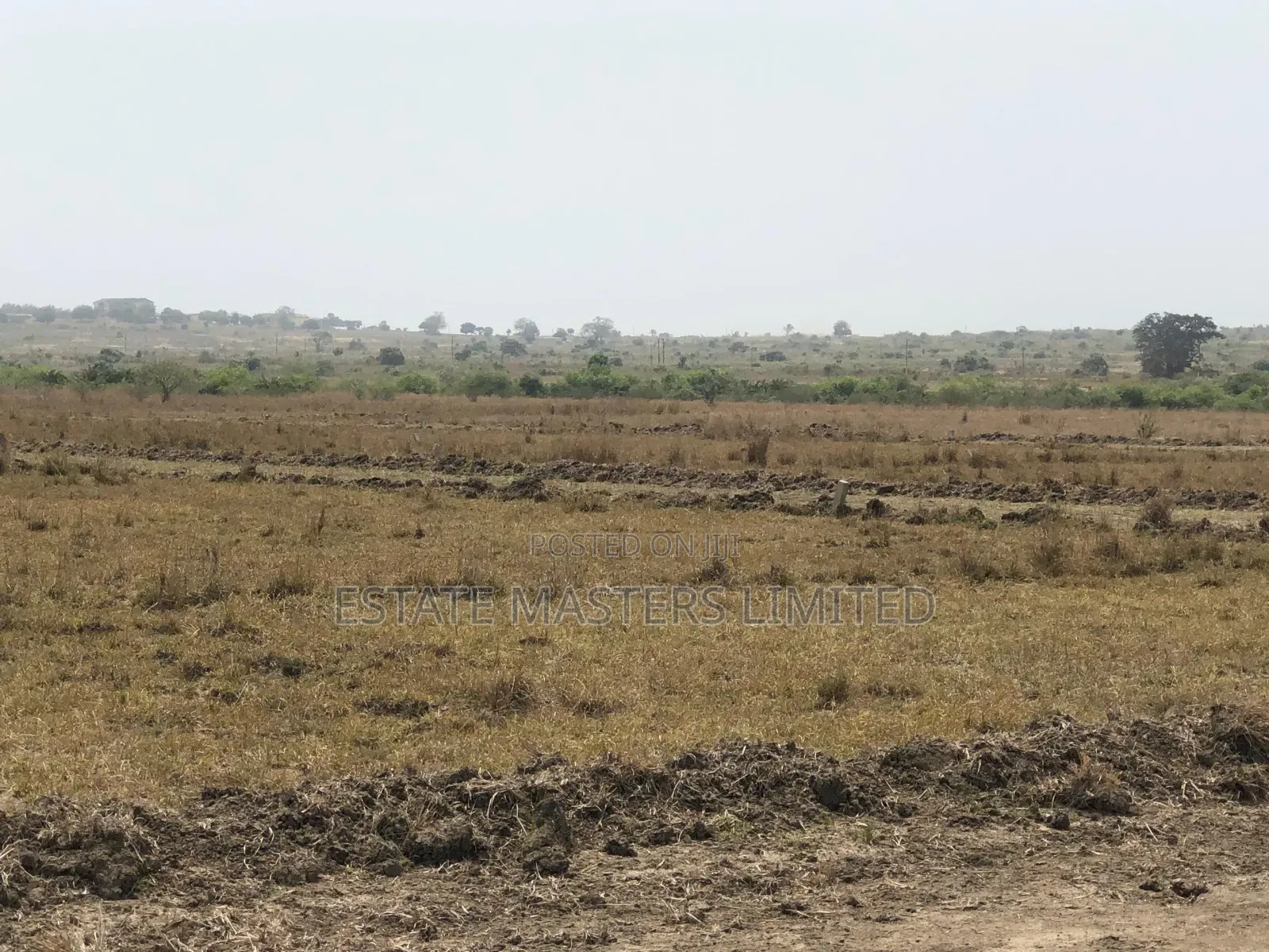Land Is a Valuable Asset, Own One Now at Tsopoli