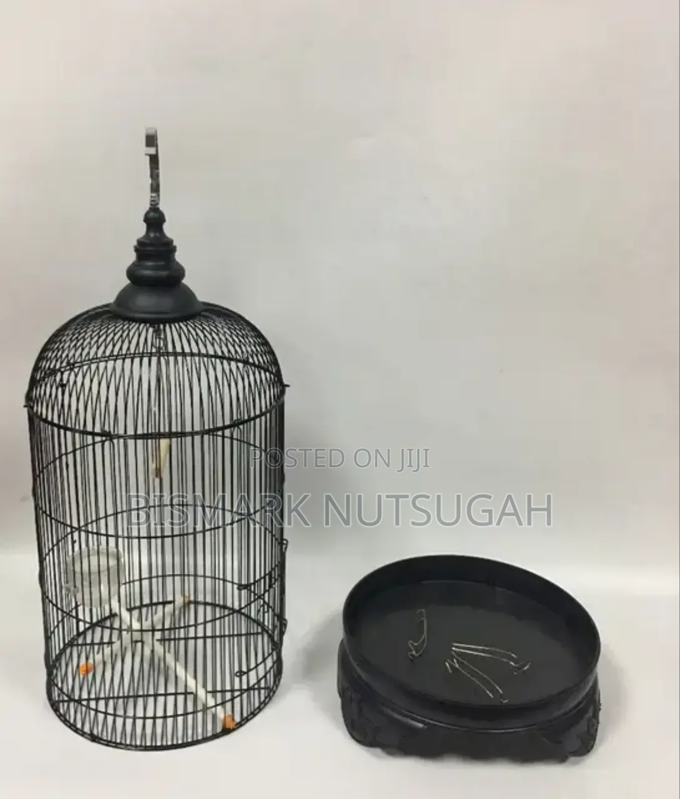 Bird Cage for Sale
