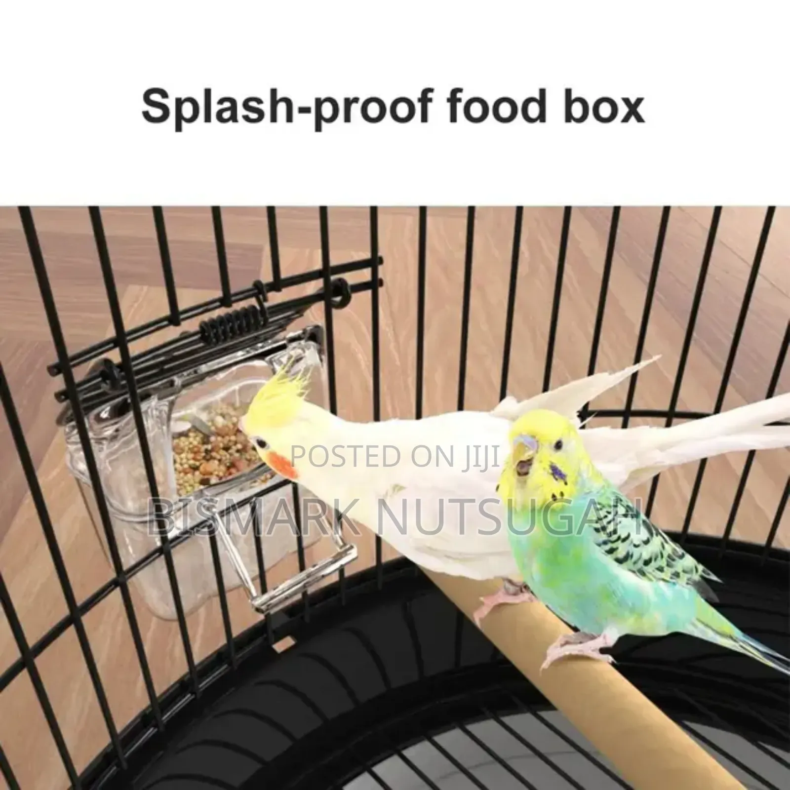 Bird Cage for Sale