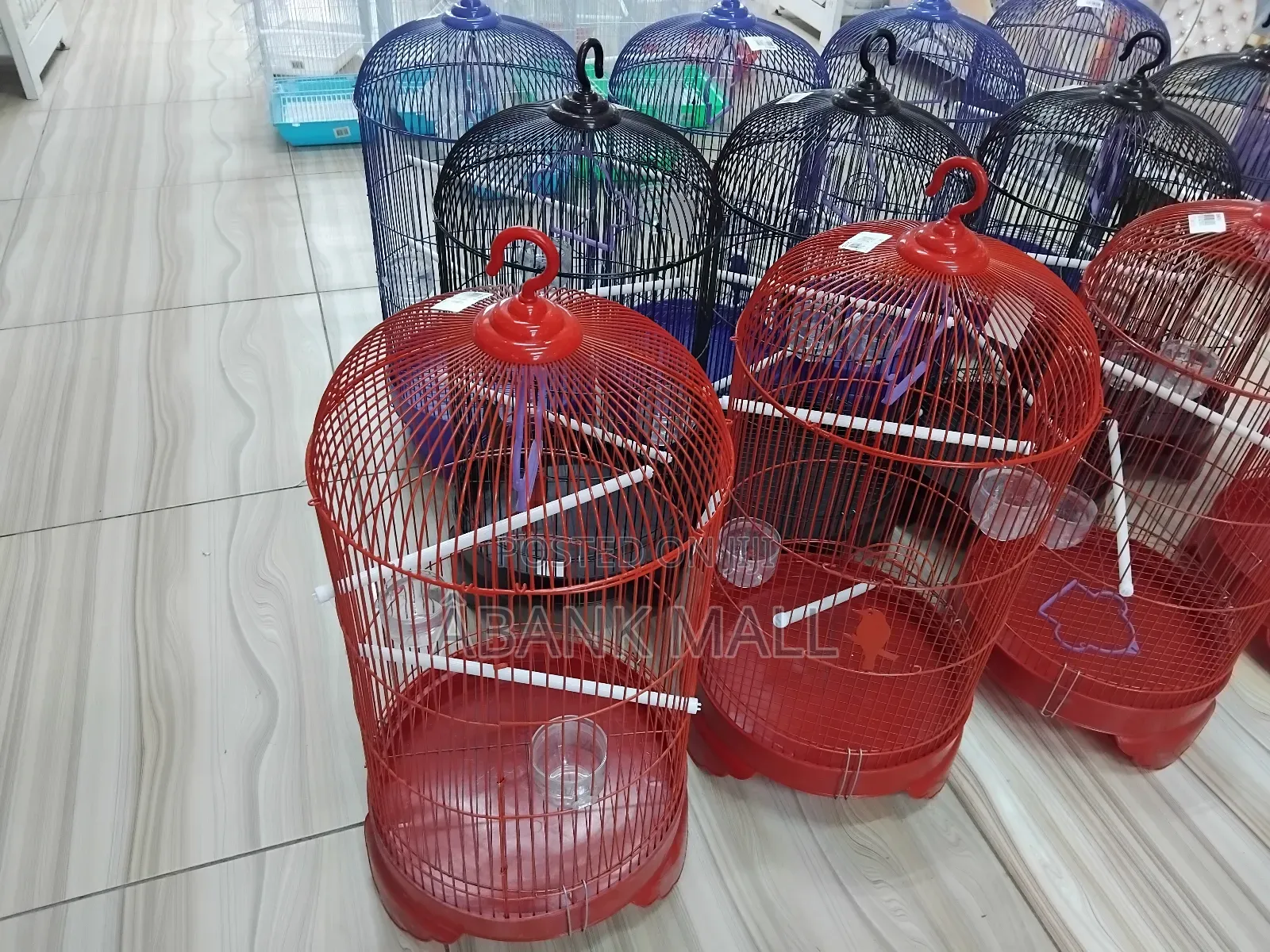 Bird Cage 33×60cm