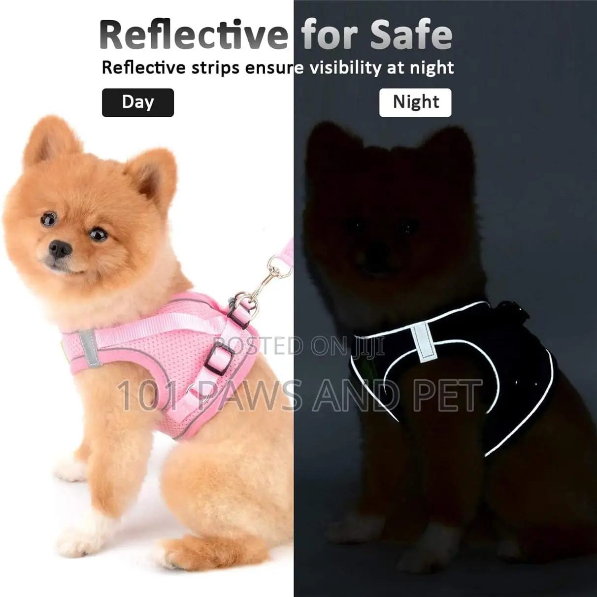 Dog Harness