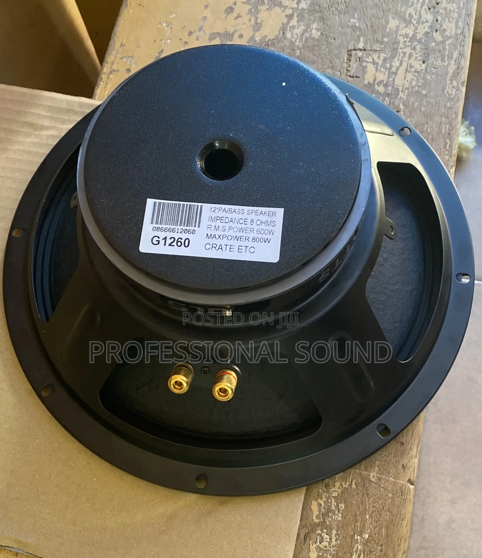 GLS Naked Speaker 12” Pair