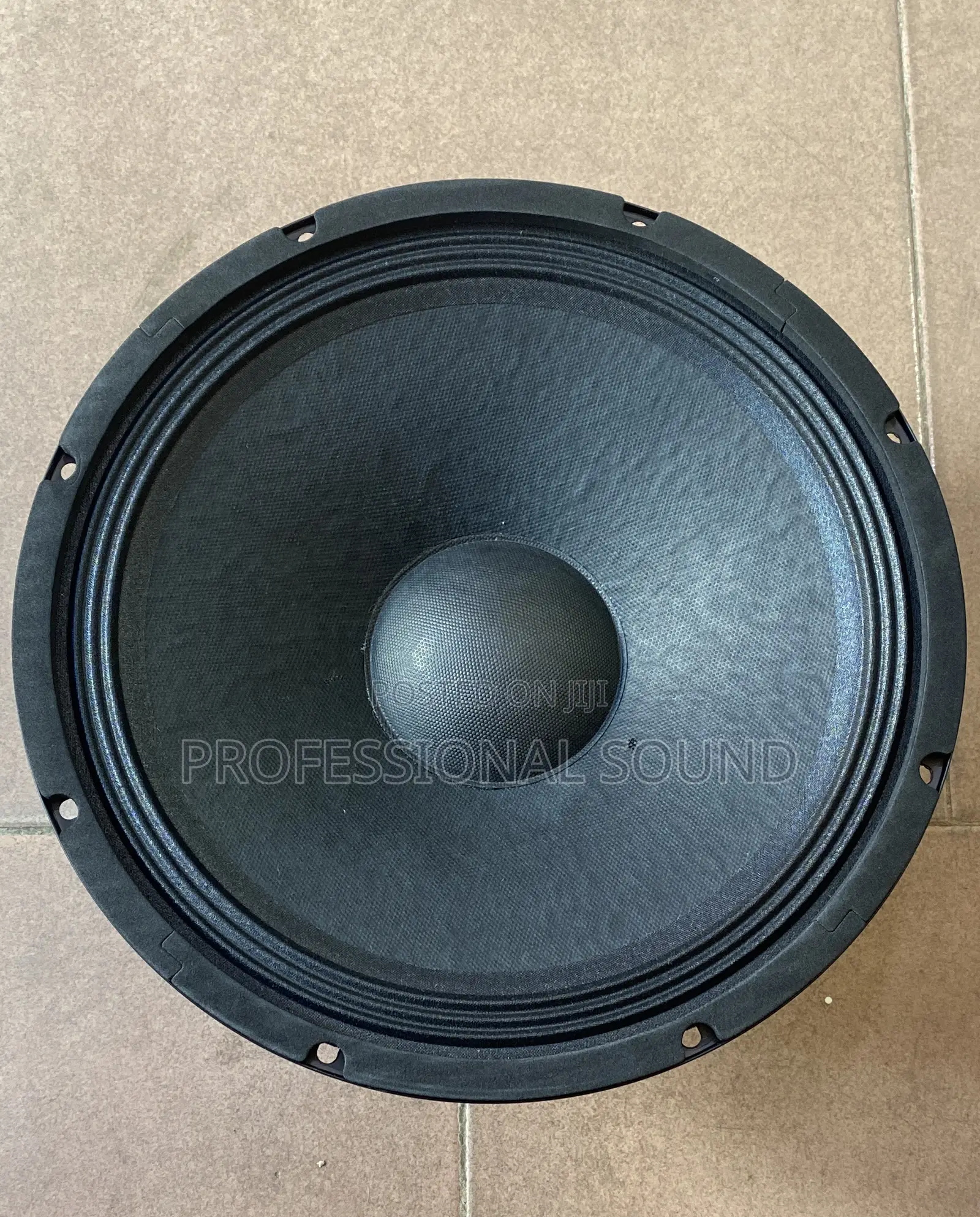GLS Naked Speaker 12” Pair