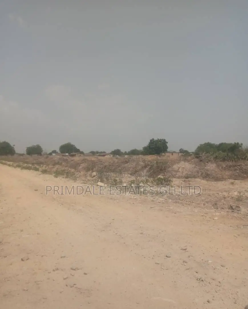 Developing And Affordable Estate Lands On Sale (Tsopoli)
