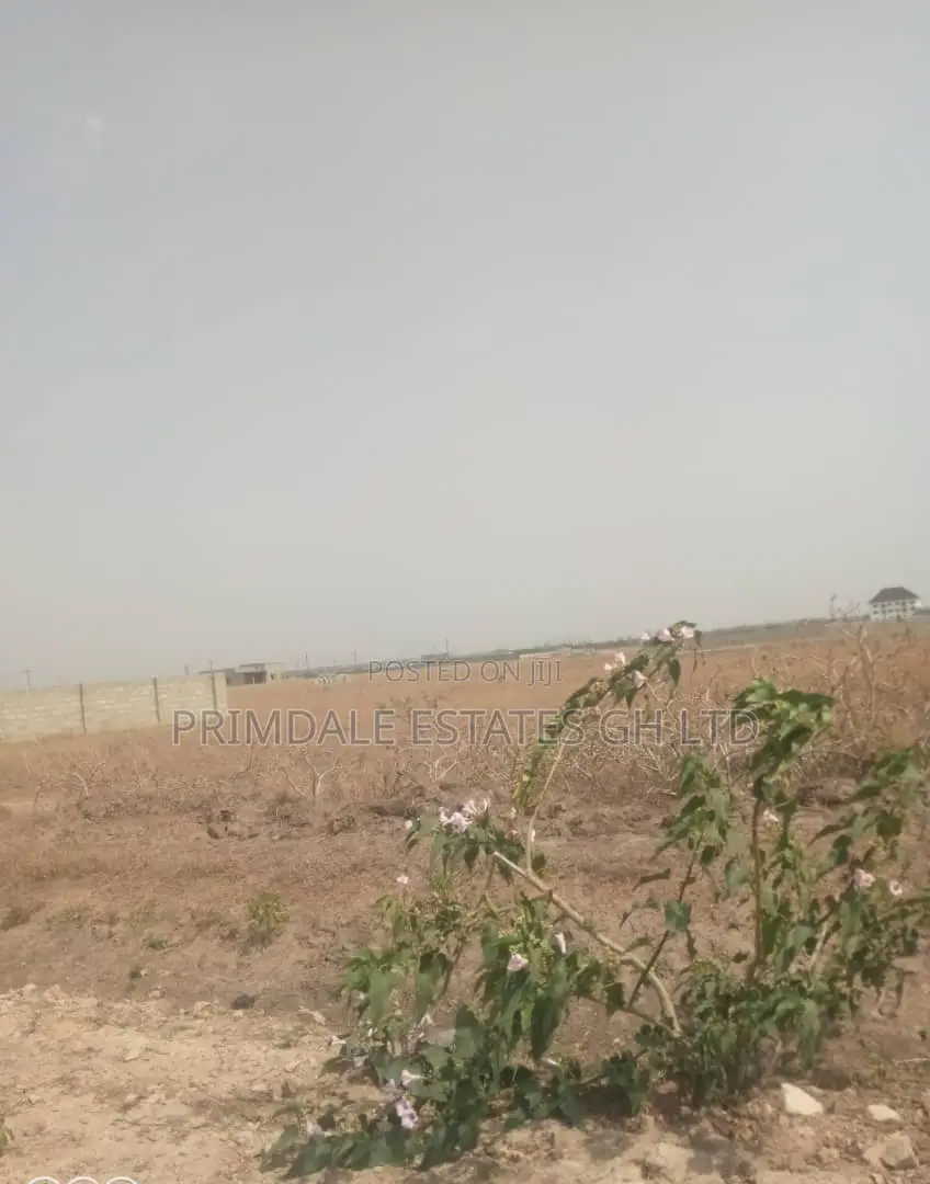 Developing And Affordable Estate Lands On Sale (Tsopoli)