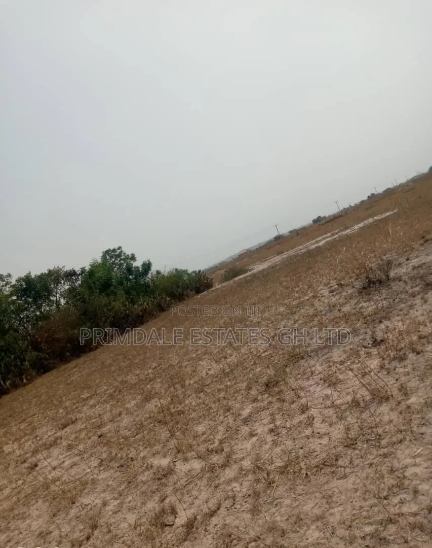 Developing And Affordable Estate Lands On Sale (Tsopoli)