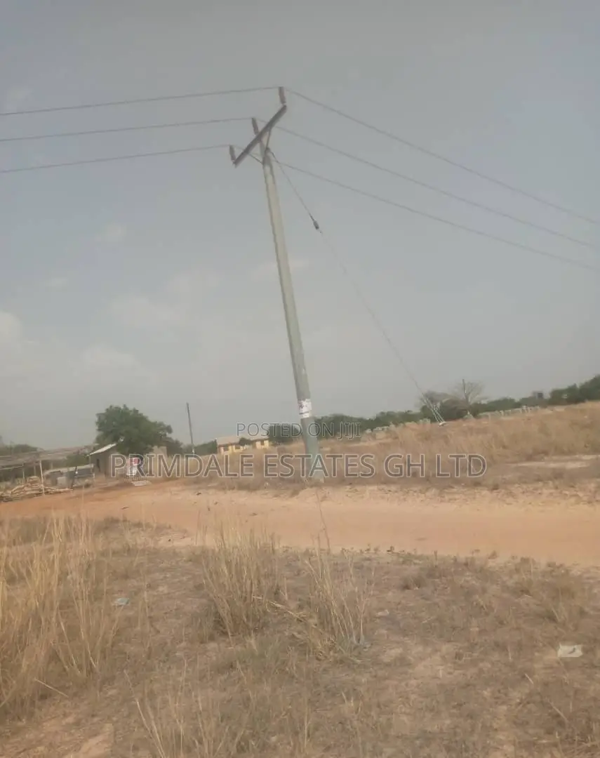 Huge Prampram Discount Genuine Affordable Lands on Sale