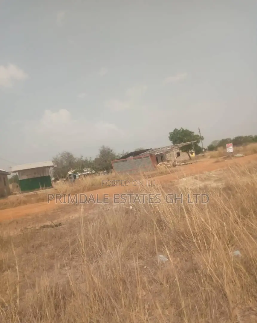 Huge Prampram Discount Genuine Affordable Lands on Sale