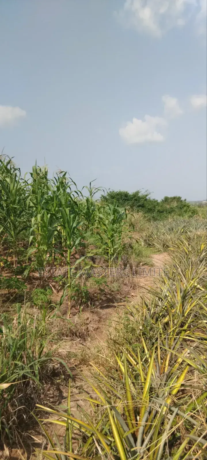 1 and Half Serviced Plots for Sale