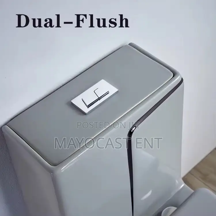 Luxury WC (Water Closet)