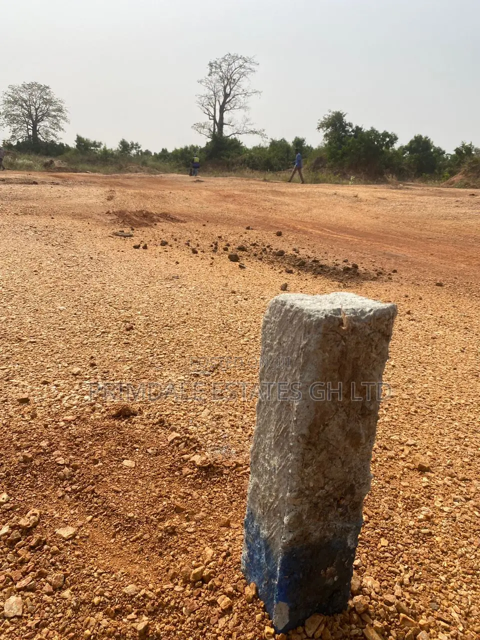 Asaase Wura Litigation Free Plots Afienya-Odumse