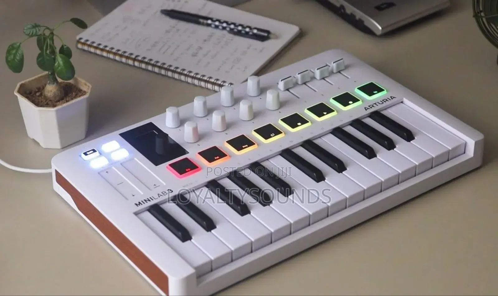 Arturia Minilab3 Midi Controller (White)
