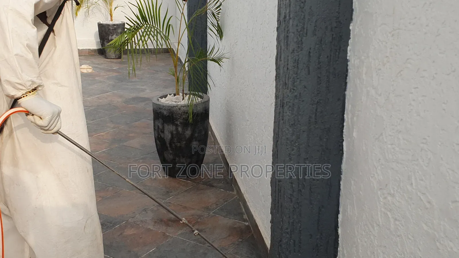 General Pest Fumigation With Cleantex