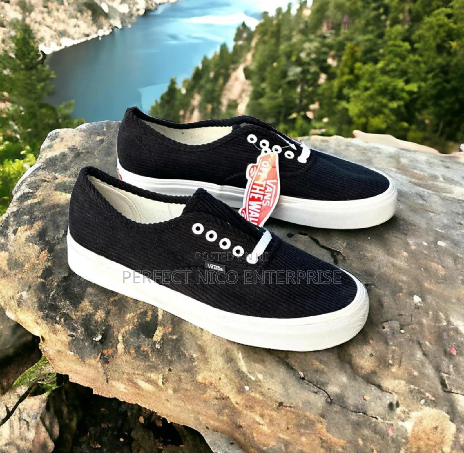 Vans Sneaker