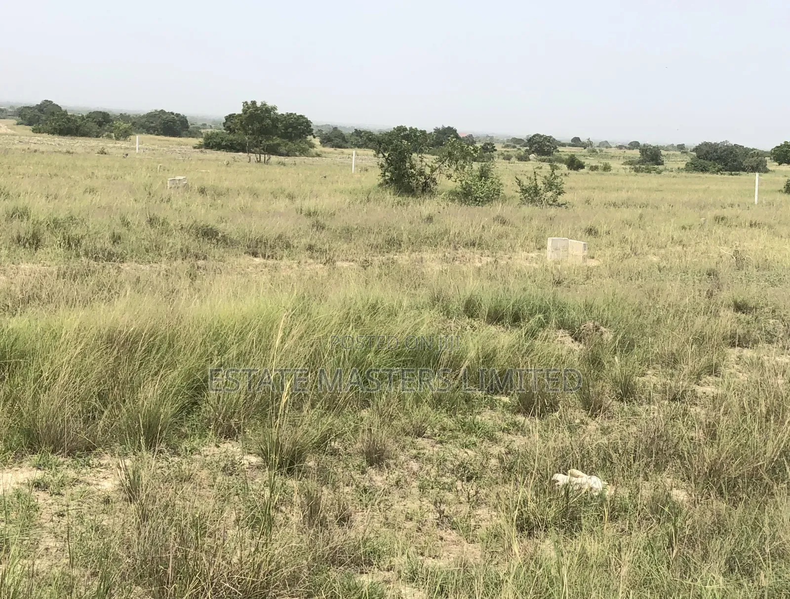 Land in a Thriving Neighbourhood Just for You, "Dominase"