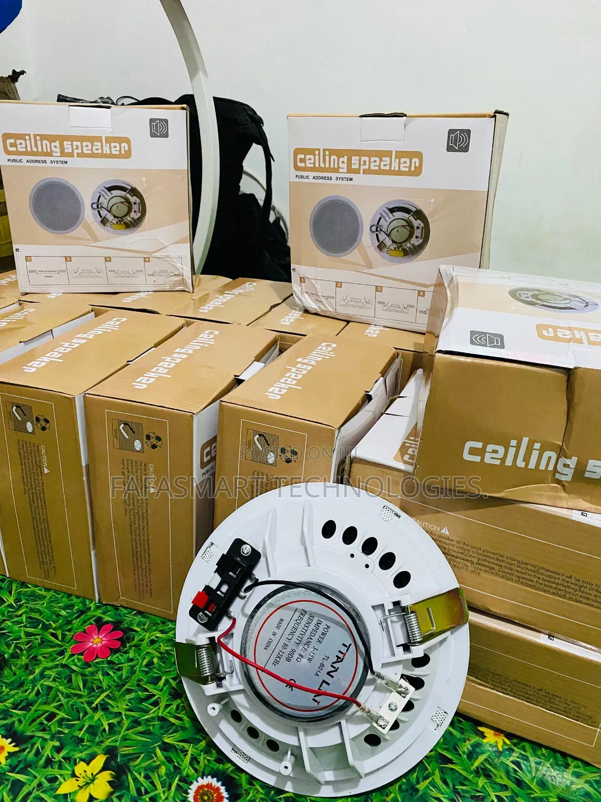 Ceiling Speakers