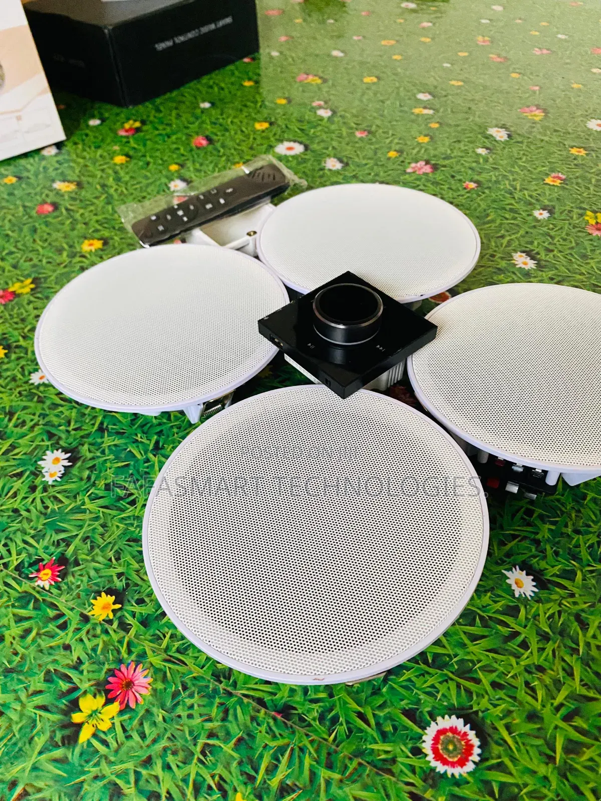 Ceiling Speaker + Analog Wall Amplifier