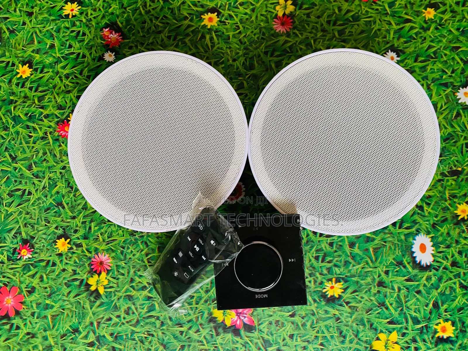 2 Ceiling Speaker + Wall Amplifier