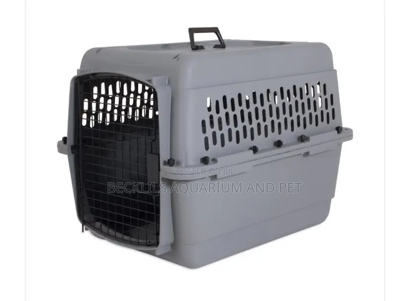 Plastic Dog Crate for Maltese Dogs