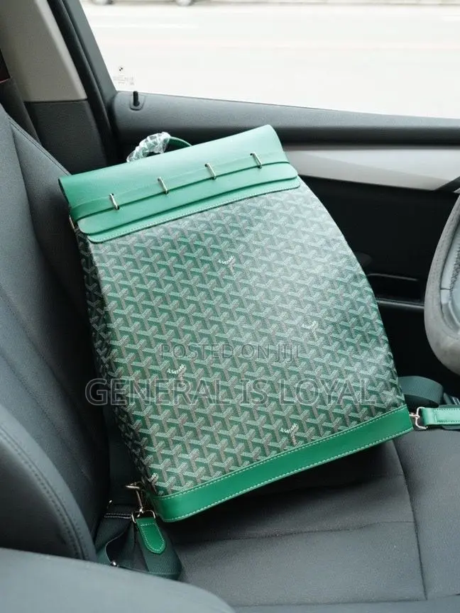 Goyard Backpacks Different Colors