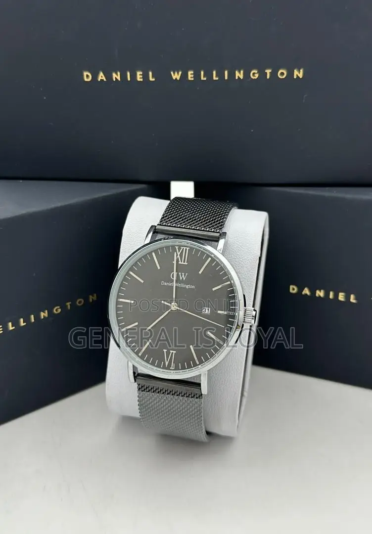 Daniel Wellington / Mesh Stainless