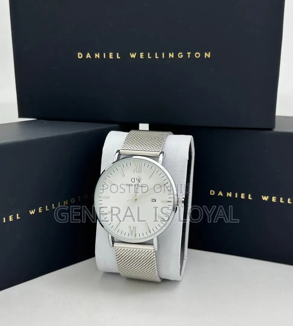 Daniel Wellington / Mesh Stainless