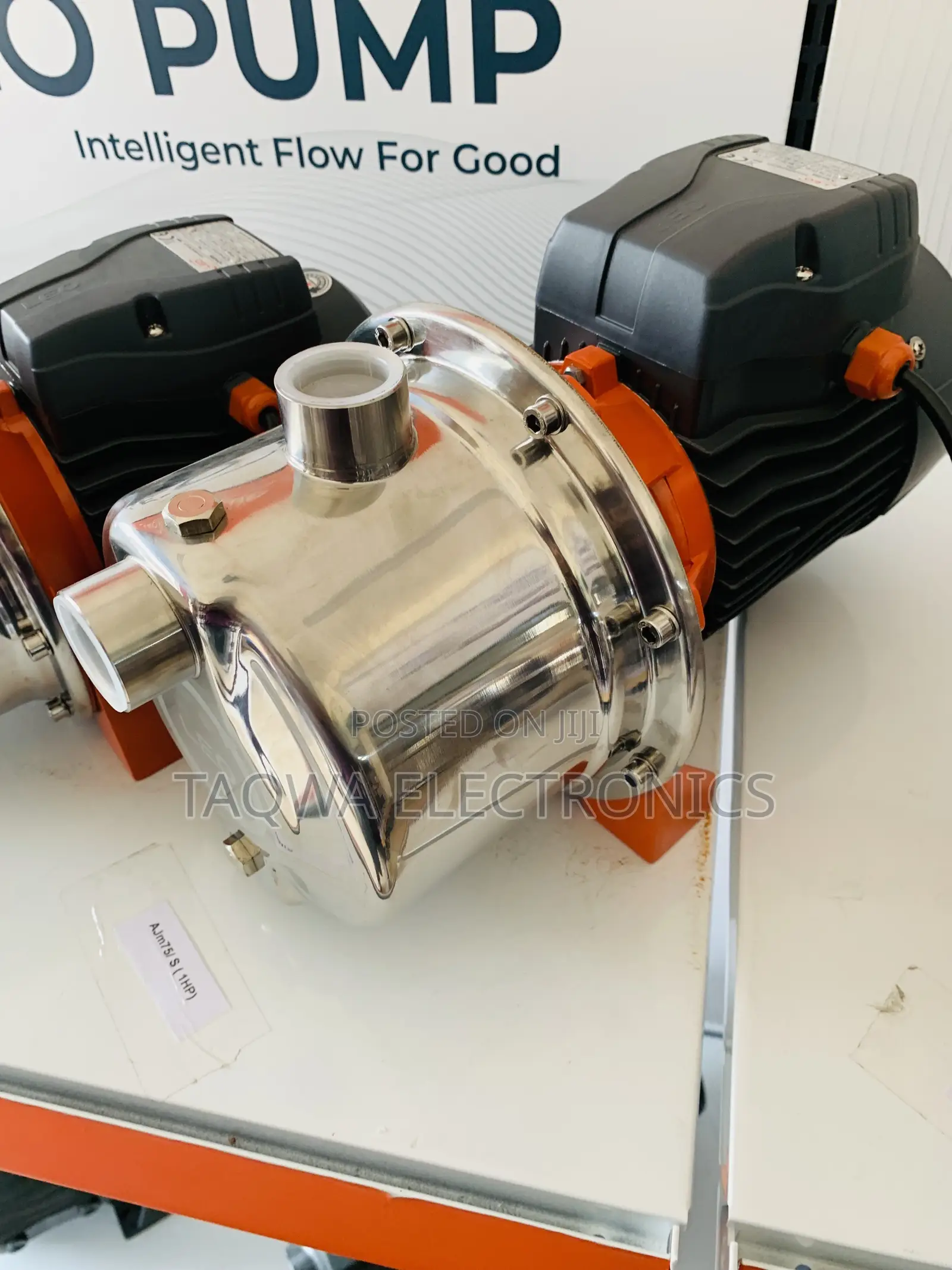 Accurate 0.5hp Leo Water Pump