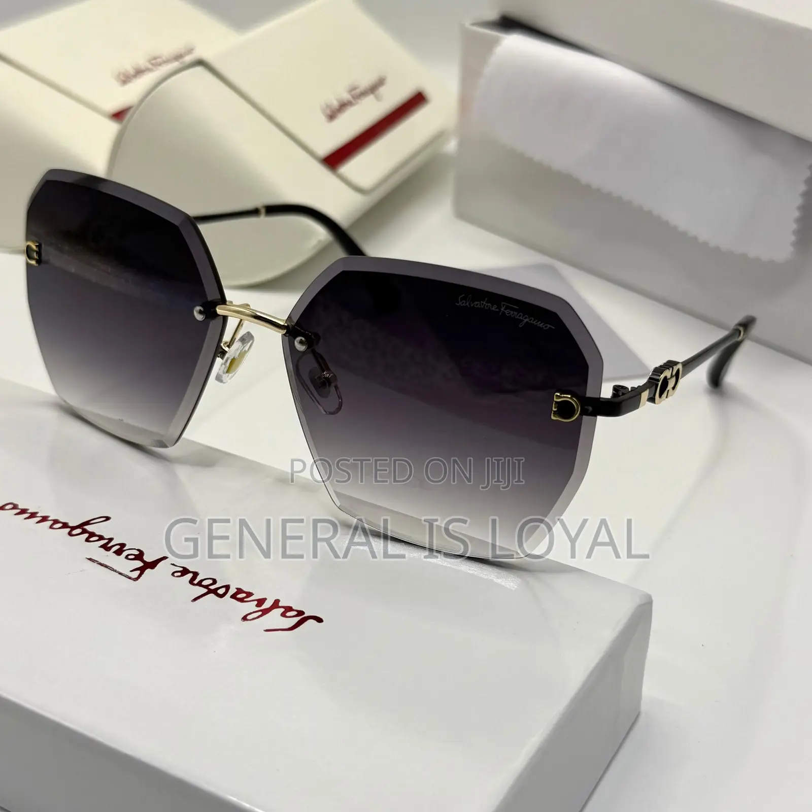 Ferragamo Women/Ladies Glasses