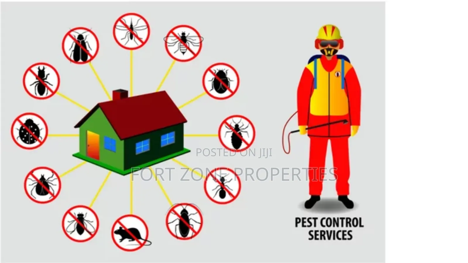 Pest Removal With Cleantex