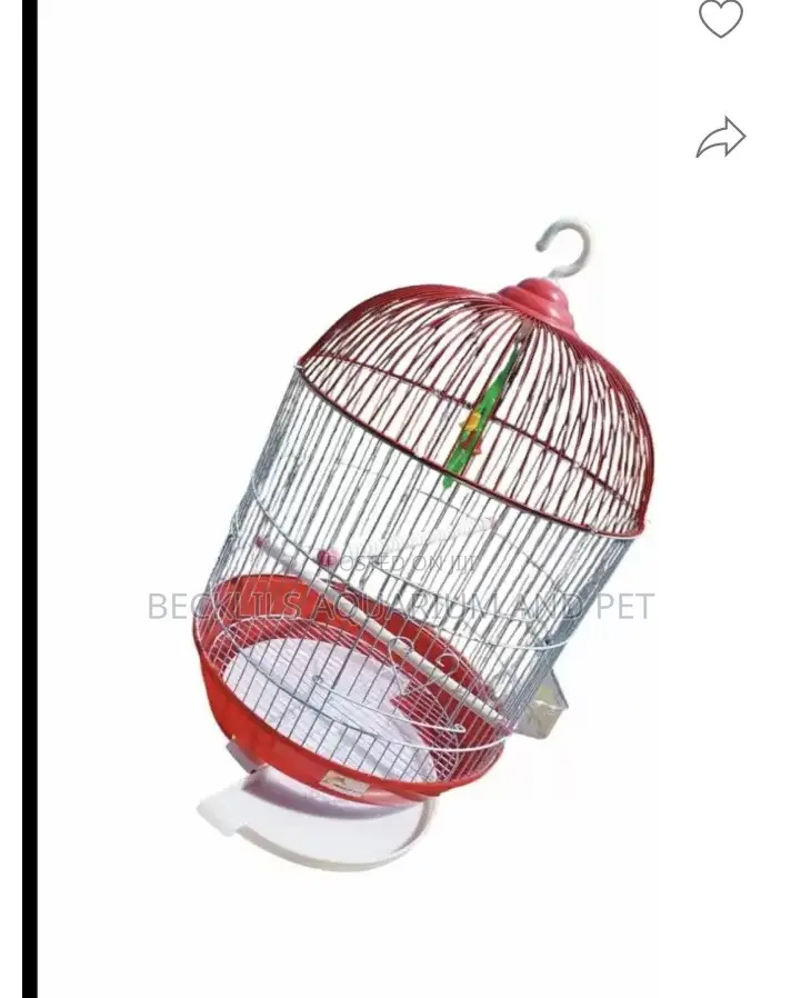 Birdcage for Vaasa Parrots
