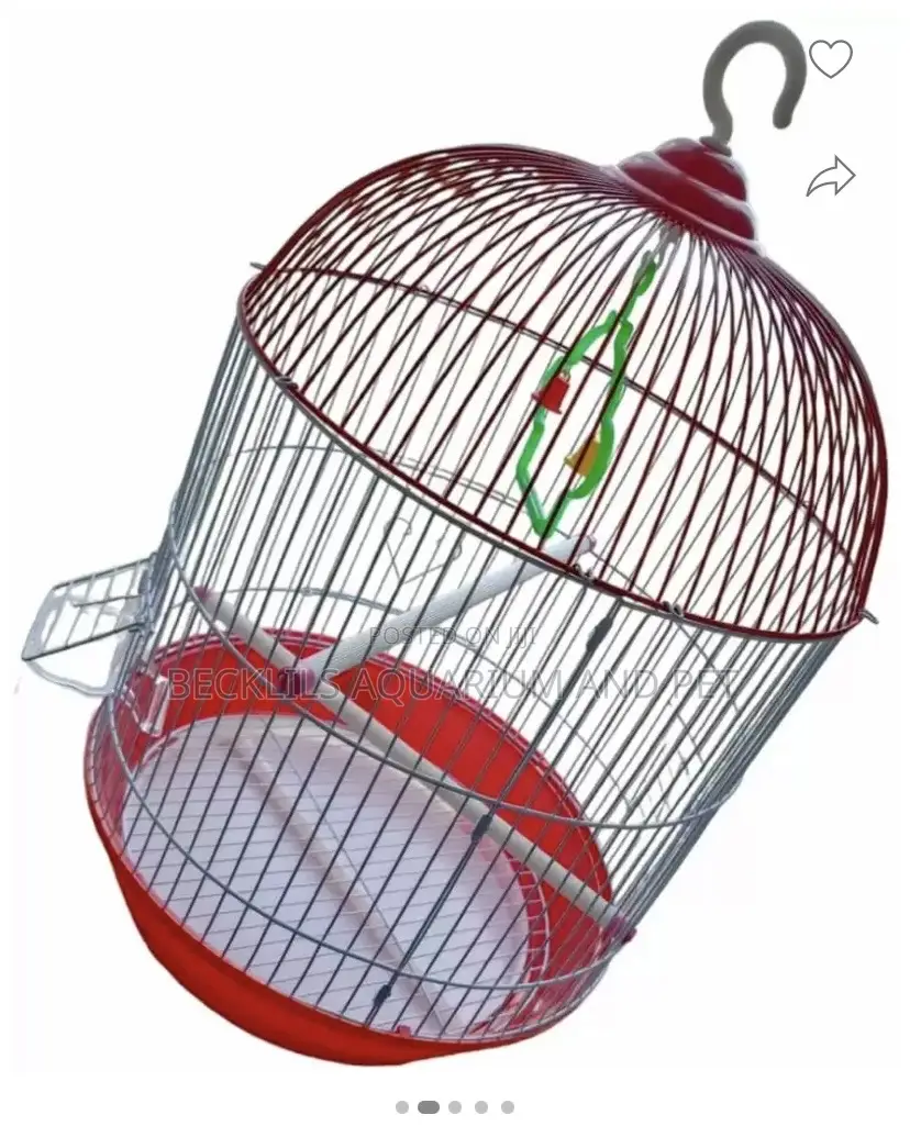 Birdcage for White -Crowns Parrot